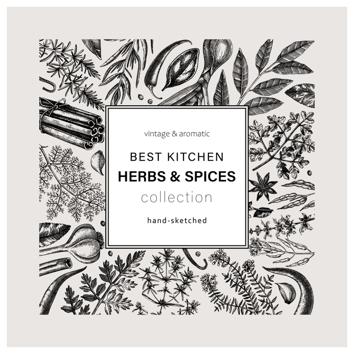 Hand-drawn herbs and spices square card. Hand-sketched food black outlines wreath. Vintage aromatic plants hand-drawing. Kitchen herbs and spice frame template in sketched style for menu or packaging